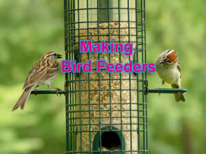 Making Bird Feeders @ YMCA | England | United Kingdom