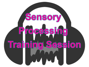 Sensory Processing Training Session @ Crowpill Hall, Wembdon Village Hall | Wembdon | England | United Kingdom