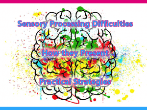 Sensory Processing Training @ The Old School | Westonzoyland | England | United Kingdom