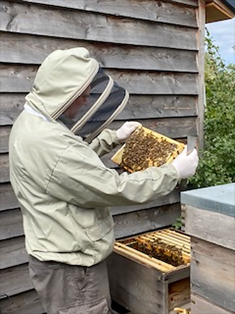 Bee Keeping with Catherine and Byron