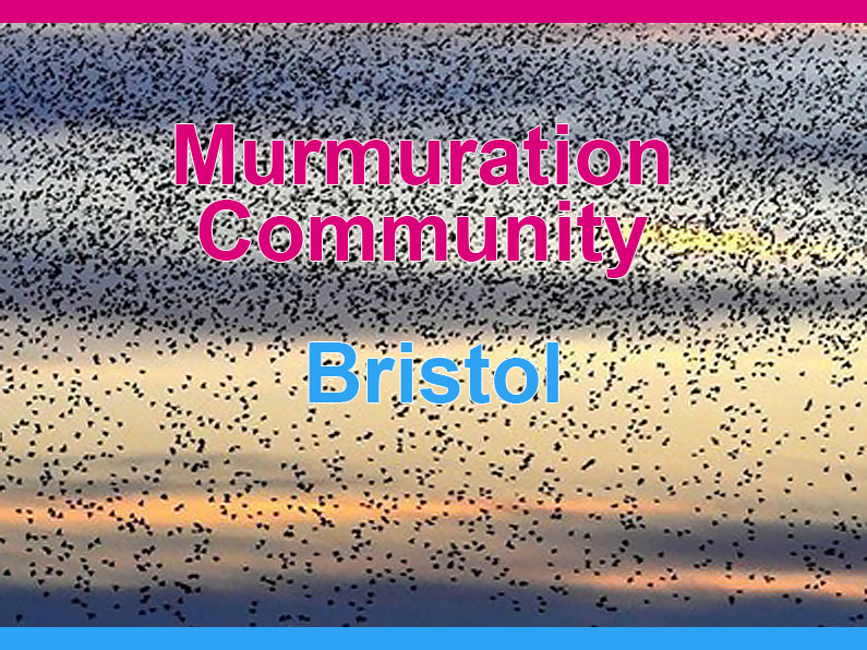 Murmuration Community Bristol