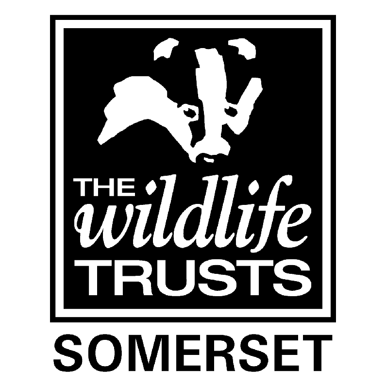 Somerset Nature Connections | The Wildlife Trusts Somerset Logo