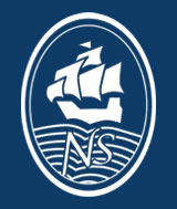 Nailsea School Logo